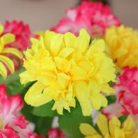 uploads/erp/collection/images/Home Garden/CongDing/XU0610722/img_b/XU0610722_img_b_4